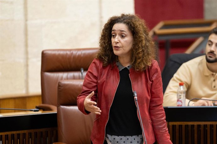 La portavoz del Grupo Por Andalucía, Inmaculada Nieto, durante su intervención en la sesión de control al Gobierno en la segunda jornada del Pleno del Parlamento andaluz, a 14 de diciembre en Sevilla (Andalucía, España). 