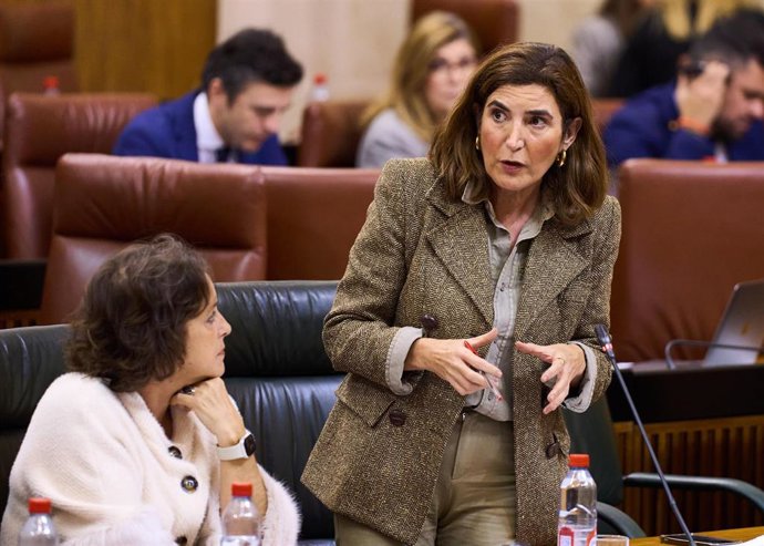 La consejera de Empleo, Empresa y Trabajo Autónomo, Rocío Blanco, ha insistido en el Parlamento de Andalucía en que "no se han privatizado ni desmantelado" las Residencias de Tiempo Libre.