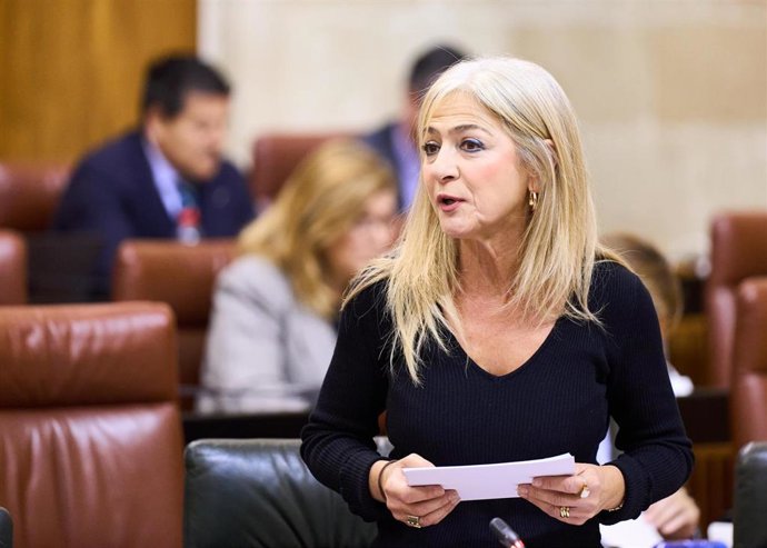 La consejera de Desarrollo Educativo y Formación Profesional, Patricia del Pozo, en el Pleno del Parlamento