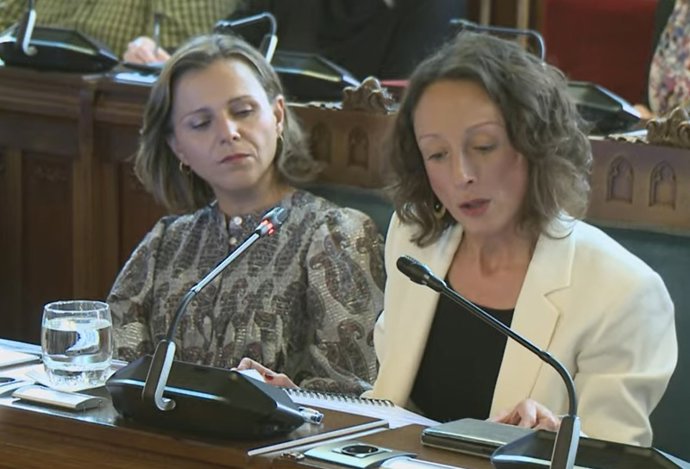 La consejera de Derechos Sociales y Bienestar, Melania Álvarez, en la Junta General