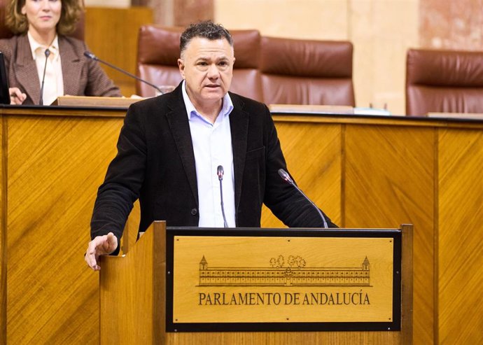 El portavoz adjunto de Por Andalucía, Juan Antonio Delgado, en el Pleno del Parlamento andaluz.