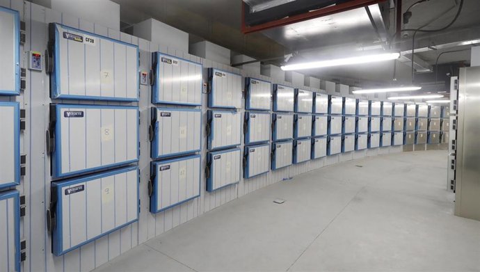 Archivo - Imagen del depósito de cadáveres del Instituto de Medicina Legal situado en los terrenos de Valdebebas