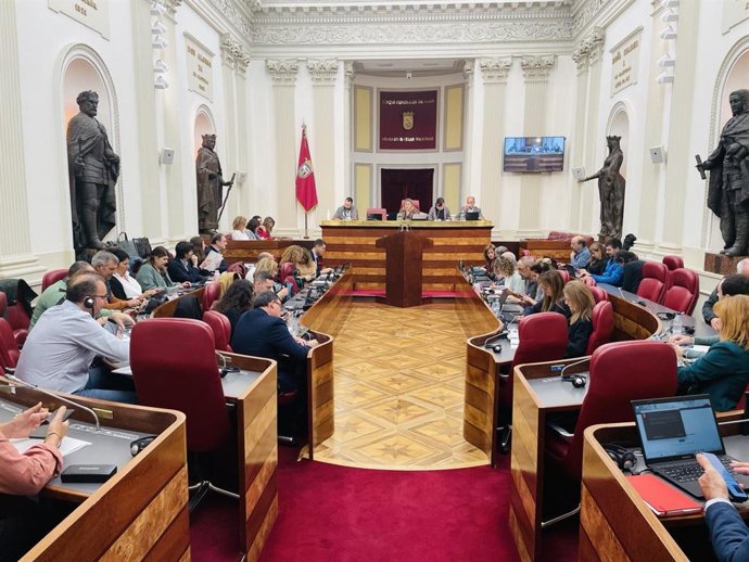 El pleno de la Cámara foral de Álava