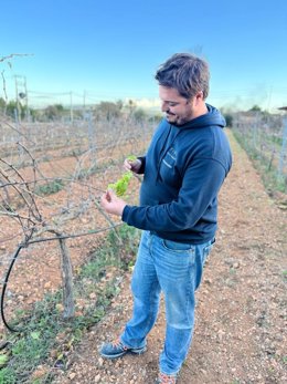 El secretario general de la Unió de Pagesos, Sebasti Ordines, con la viña con brotes nuevos