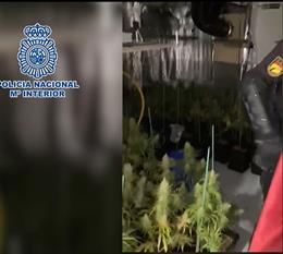 Archivo - Uno de los narcopisos desmantelado por la Policía Nacional