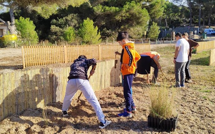 Estudiantes y profesores participan en la plantación de diversas especies en el Parc Natural de Mondragó.
