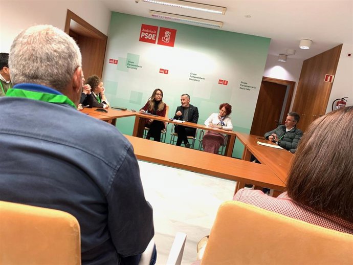 Encuentro del PSOE de Sevilla con alcaldes y portavoces de la provincia de Sevilla.