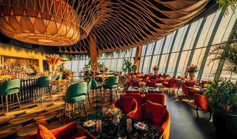 Comunicados Internacional