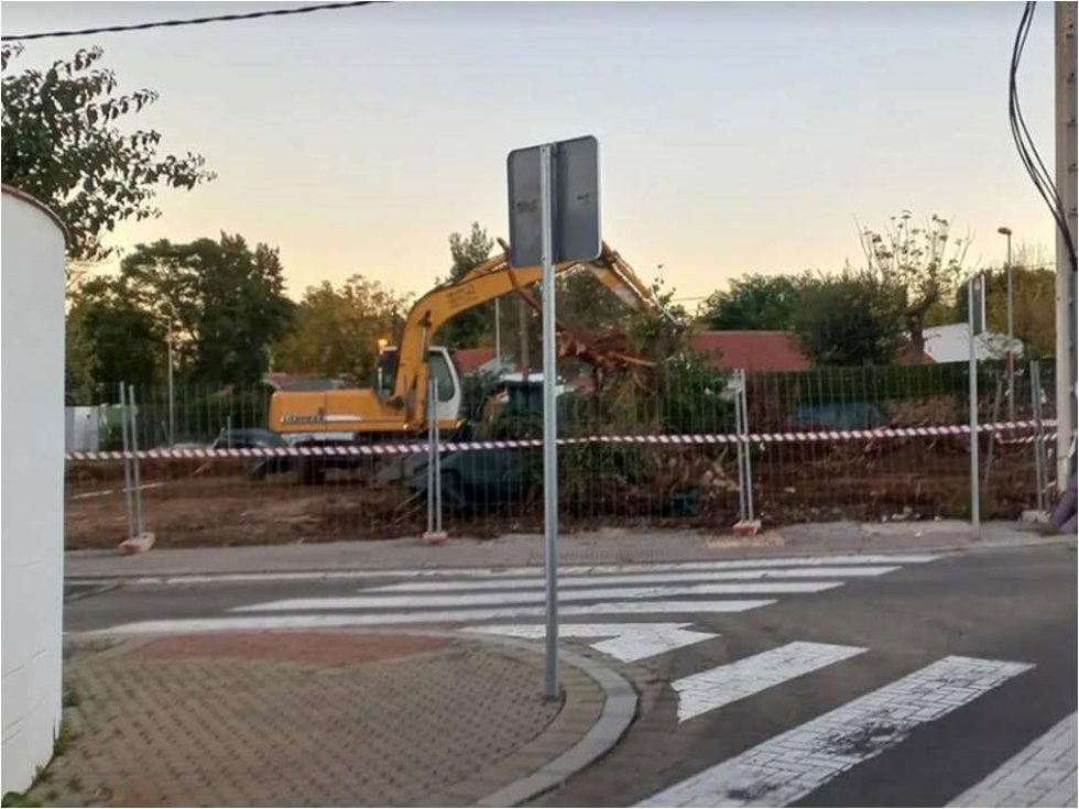 Imagen de la tala en Santa Clara