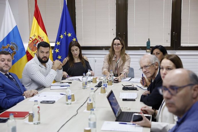 La directora general de Transportes del Gobierno de Canarias, María Fernández, con representantes insulares y municipales