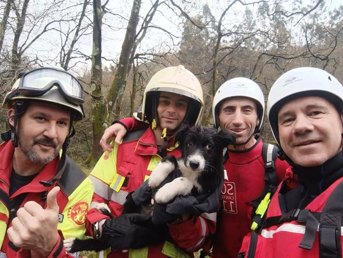 Los bomberos rescatan a un cachorro que quedó aislado en el río Miera