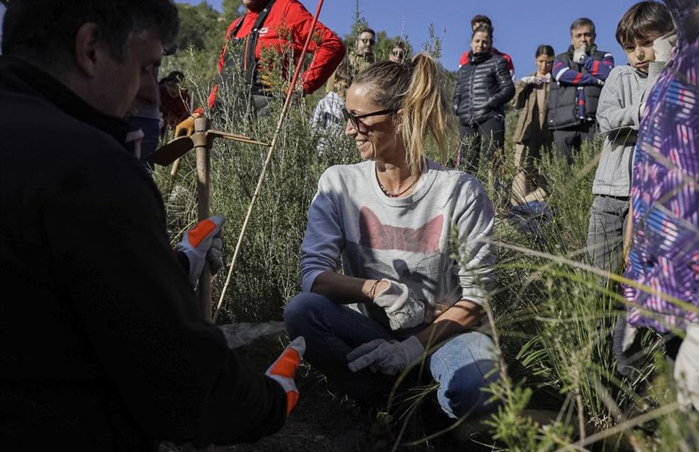 Archivo - Sanitas planta los primeros árboles correspondientes al legado que deja este año su programa Healthy Cities