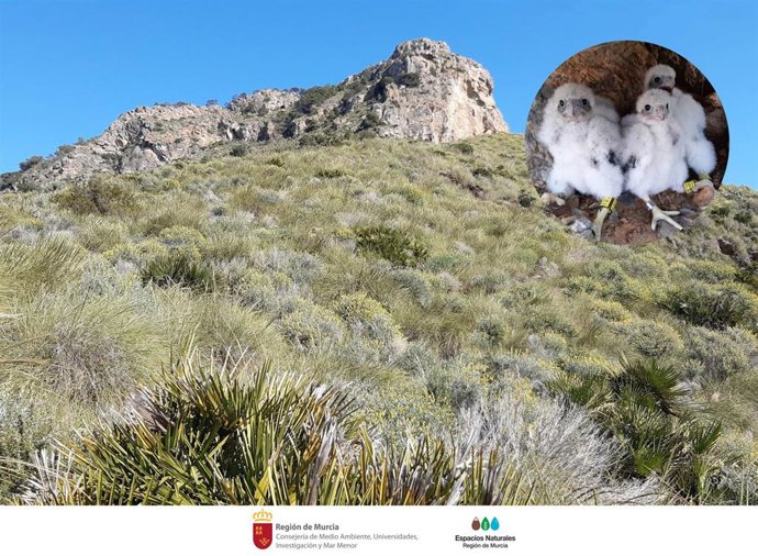 Restringido el acceso a una parte del Parque Regional de Calblanque para evitar molestias a la avifauna