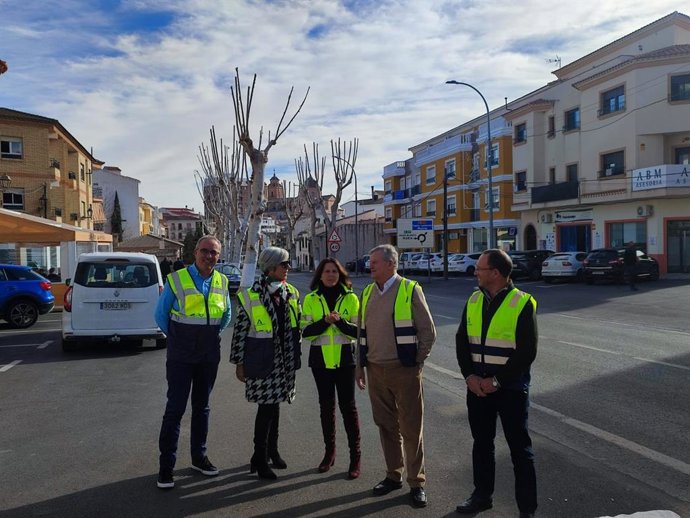 Imagen de la poda de los 65 árboles en la travesía de Vélez Rubio.