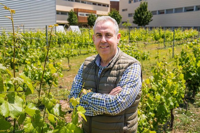 Archivo - Javier Tardáguila de Altavitis