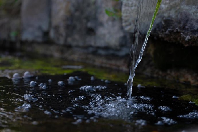 Una fuente en los jardines de los alrededores del Museu Nacional d'Art de Catalunya, a 21 de noviembre de 2023, en Barcelona, Catalunya (España). 