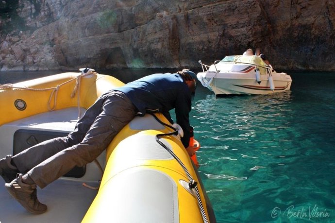 La Generalitat duplica las embarcaciones del Servicio de Vigilancia Marina para proteger la Posidonia Mediterránea