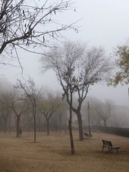 Archivo - Niebla, nublado, frío, inverno, nebuloso