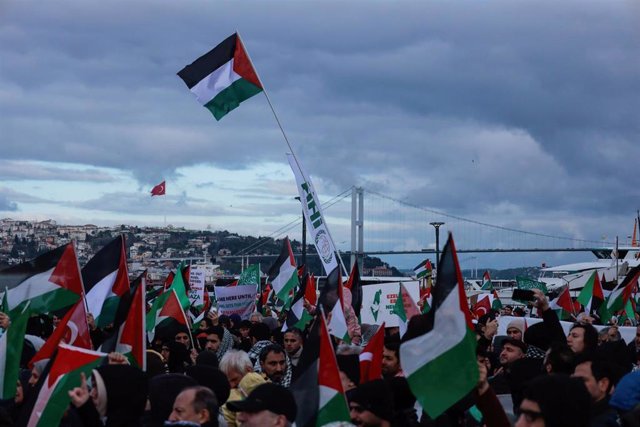 Manifestación en Turquía en favor de la causa palestina