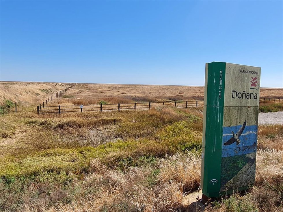 Archivo - Parque Nacional de Doñana (Huelva).