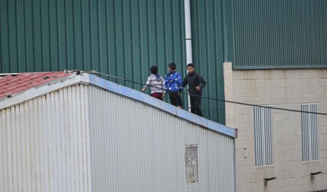 Migración