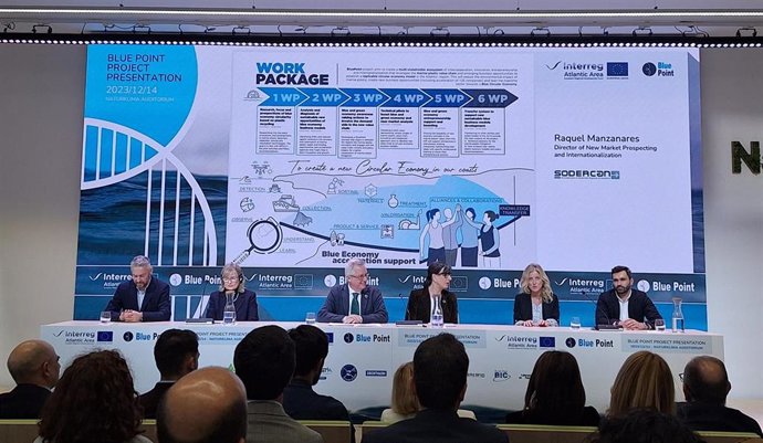 Proyecto Blue Point.