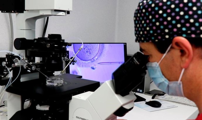 El Hospital La Fe logra tres embarazos con reproducción asistida en mujeres con esclerosis múltiple