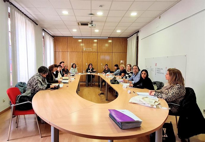 Reunión del consejo rector del IbDona.