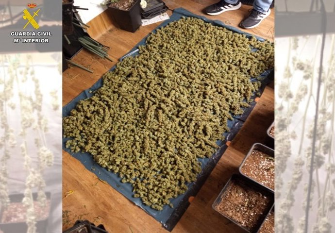 Remitiendo Nota De Prensa