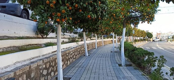 Una calle de Santiponce, donde sucedieron presuntamente los hechos