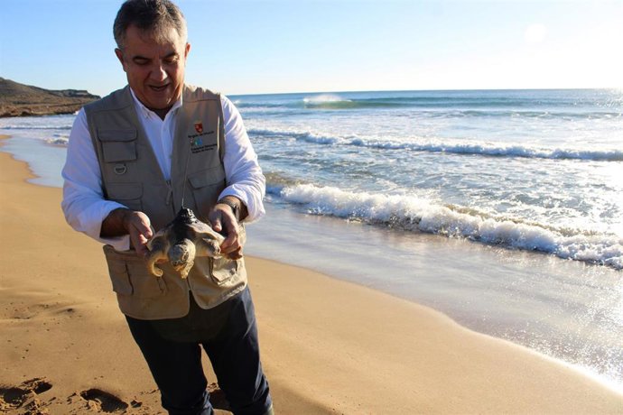 El consejero de Medio Ambiente, Universidades, Investigación y Mar Menor, Juan María Vázquez, pone en libertad una tortuga boba que ha sido tratada en el Centro de Recuperación de Fauna Silvestre El Valle