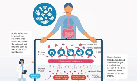Comunicados Internacional