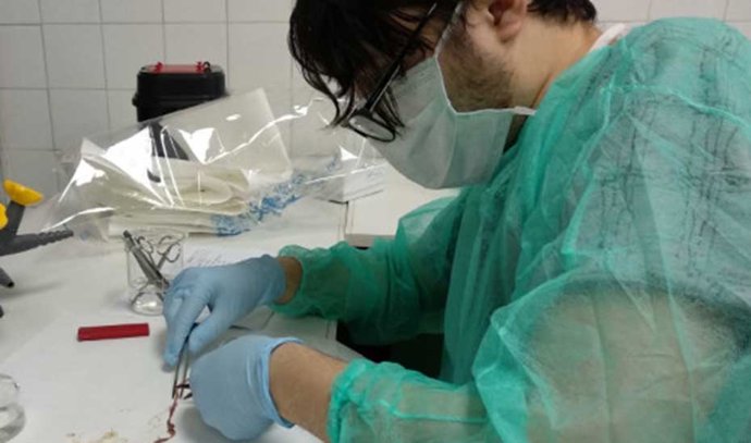 Investigadores andaluces