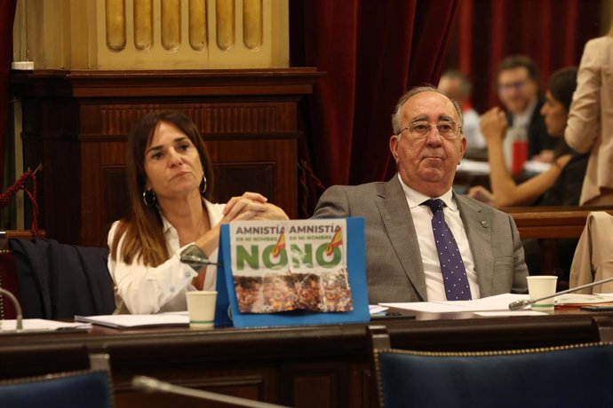 Archivo - Los diputados de Vox Manuela Cañadas y Agustí Buades.