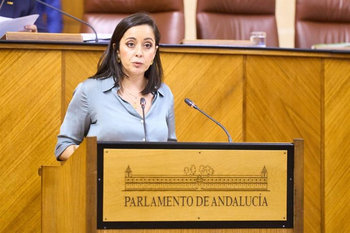 Archivo - La diputada de Vox, Mercedes Rodríguez Tamayo, en una imagen de archivo en el Pleno del Parlamento.
