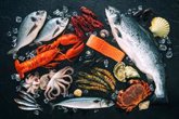 Foto: ¿El mercurio del pescado es perjudicial para la salud? Esto dice la ciencia