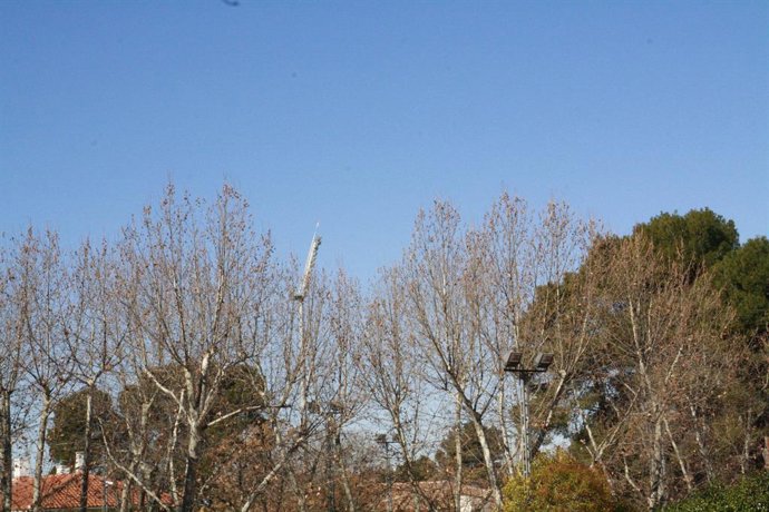 Archivo - Cielo despejado.