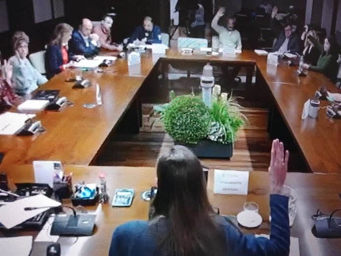 Votación del dictamen de la comisión de Hacienda de las Juntas Generales de Álava sobre el proyecto de norma foral de medidas tributarias para 2024