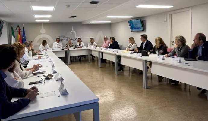 Reunión de las I Jornadas Humaniza Hospitales-Sevilla