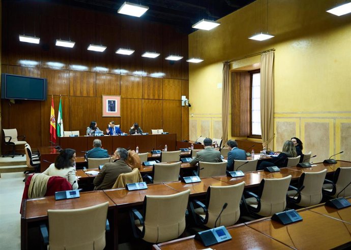 Sesión constitutiva del grupo de trabajo relativo a Inteligencia Artificial en el Parlamento andaluz.