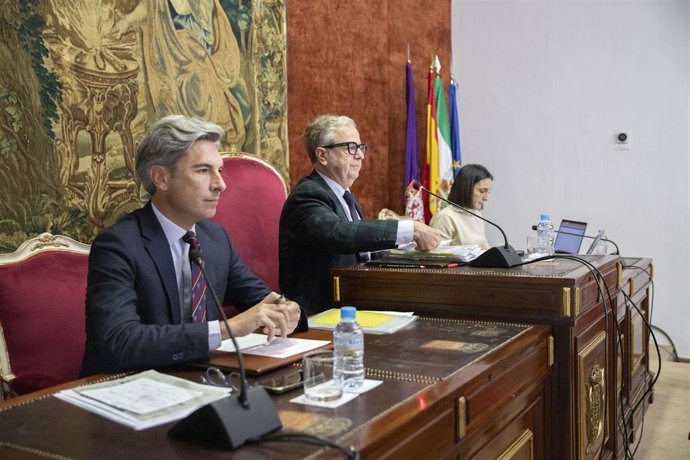 El presidente de la Diputación, Salvador Fuentes (centro), en el Pleno de diciembre.
