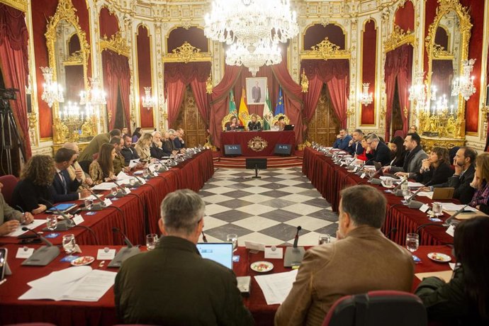 El pleno de la Diputación de Cádiz aprueba el nuevo Plan Provincial del Área de Servicios Sociales, Familias e Igualdad para 2024
