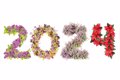 Una flor para cada signo del zodiaco: guía floral para brillar en 2024