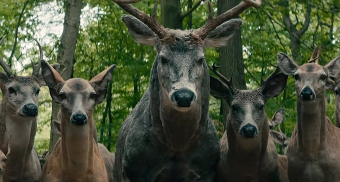 ¿Qué Significan Los Ciervos En Dejar El Mundo Atrás De Netflix?