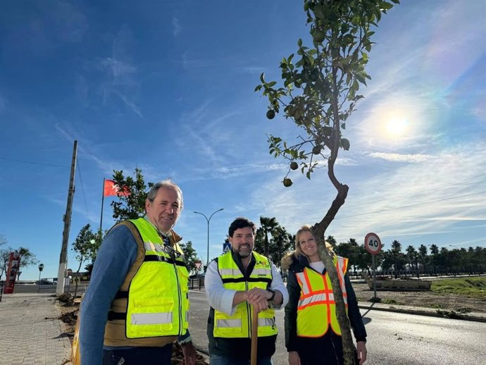 El alcalde de Lora del Río (Sevilla), Antonio Enamorado, en la zona donde se han plantado 30 naranjos.