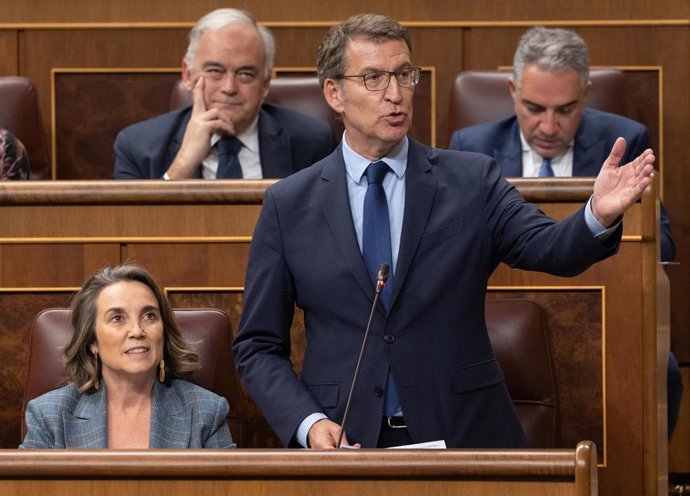 El presidente del PP, Alberto Núñez Feijóo, interviene durante una sesión de control al Gobierno, en el Congreso de los Diputados, a 20 de diciembre de 2023, en Madrid (España). 