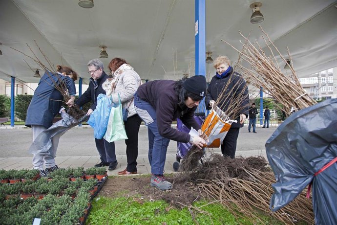 Archivo - Campaña de repoblación forestal de Camargo.