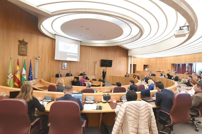 Pleno de la Diputación de Granada