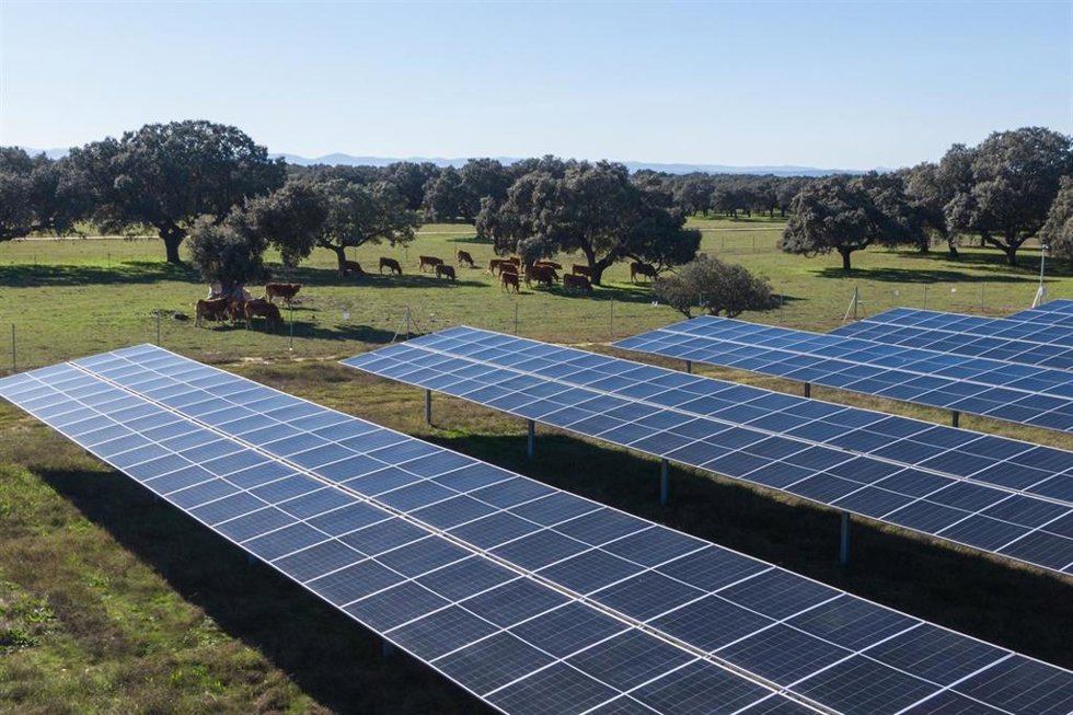 Planta solar Talayuela II, Statkraft, en Cáceres