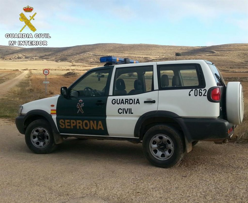 Archivo - Vehículo del Seprona de la Guardia Civil